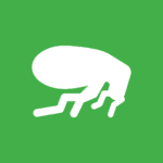 white flea vector image on green background