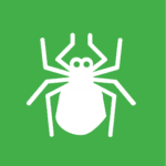 white tick vector image on green background